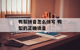 鸭梨拼音怎么拼写 鸭梨的正确读音