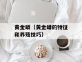 黄金蟒（黄金蟒的特征和养殖技巧）