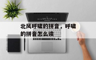 北风呼啸的拼音，呼啸的拼音怎么读