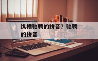 纵横驰骋的拼音？驰骋的拼音