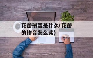花蕾拼音是什么(花蕾的拼音怎么读)