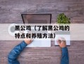 黑公鸡（了解黑公鸡的特点和养殖方法）