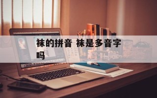 袜的拼音 袜是多音字吗