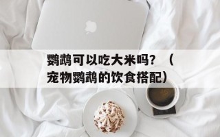 鹦鹉可以吃大米吗？（宠物鹦鹉的饮食搭配）