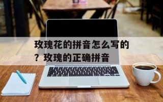 玫瑰花的拼音怎么写的？玫瑰的正确拼音