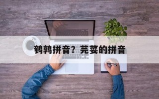 鹌鹑拼音？芫荽的拼音