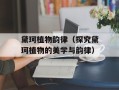 黛珂植物韵律（探究黛珂植物的美学与韵律）