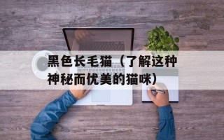 黑色长毛猫（了解这种神秘而优美的猫咪）