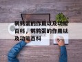鹌鹑蛋的作用以及功能百科，鹌鹑蛋的作用以及功能百科
