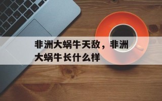 非洲大蜗牛天敌，非洲大蜗牛长什么样