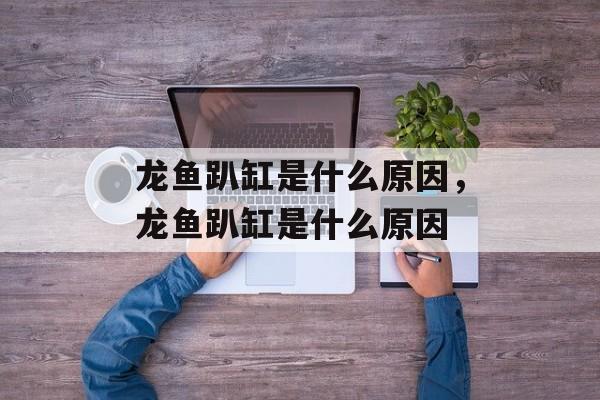 龙鱼趴缸是什么原因，龙鱼趴缸是什么原因-第1张图片-