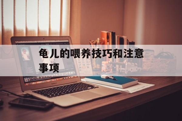 龟儿的喂养技巧和注意事项-第1张图片-