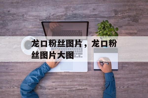 龙口粉丝图片，龙口粉丝图片大图-第1张图片-