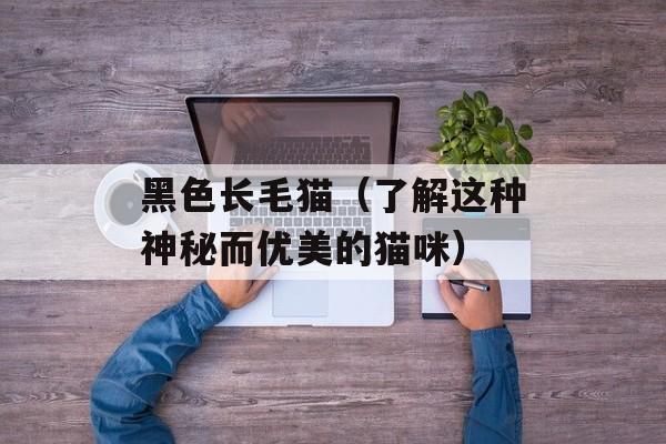 黑色长毛猫（了解这种神秘而优美的猫咪）-第1张图片-