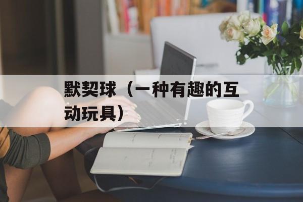 默契球（一种有趣的互动玩具）-第1张图片-