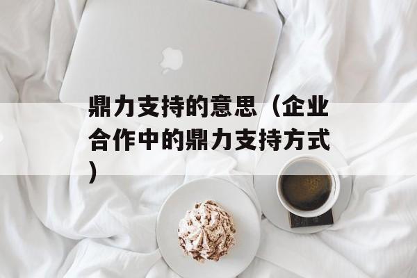 鼎力支持的意思（企业合作中的鼎力支持方式）-第1张图片-