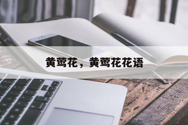 黄莺花，黄莺花花语-第1张图片-