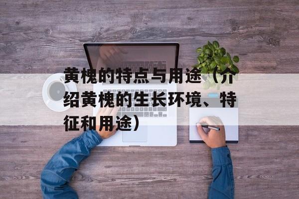 黄槐的特点与用途（介绍黄槐的生长环境、特征和用途）-第1张图片-