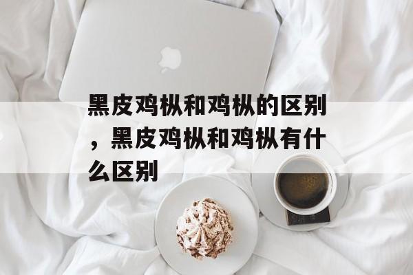 黑皮鸡枞和鸡枞的区别，黑皮鸡枞和鸡枞有什么区别-第1张图片-