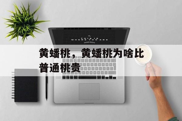 黄蟠桃，黄蟠桃为啥比普通桃贵-第1张图片-