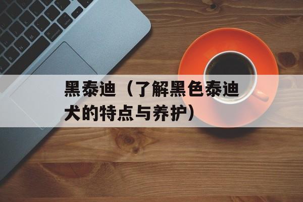 黑泰迪（了解黑色泰迪犬的特点与养护）-第1张图片-