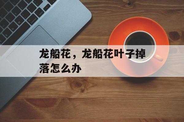 龙船花，龙船花叶子掉落怎么办-第1张图片-