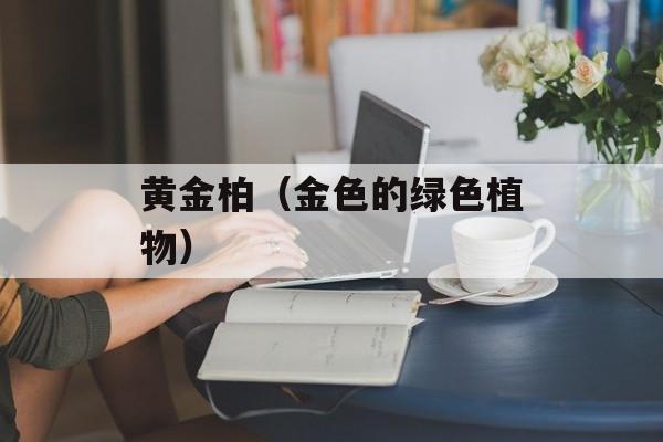 黄金柏（金色的绿色植物）-第1张图片-