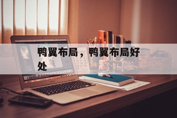 鸭翼布局，鸭翼布局好处-第1张图片-