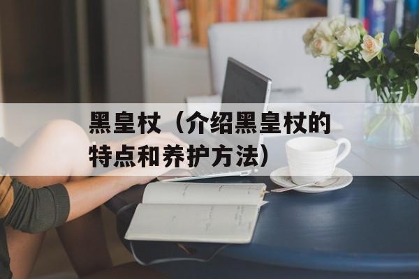黑皇杖（介绍黑皇杖的特点和养护方法）-第1张图片-