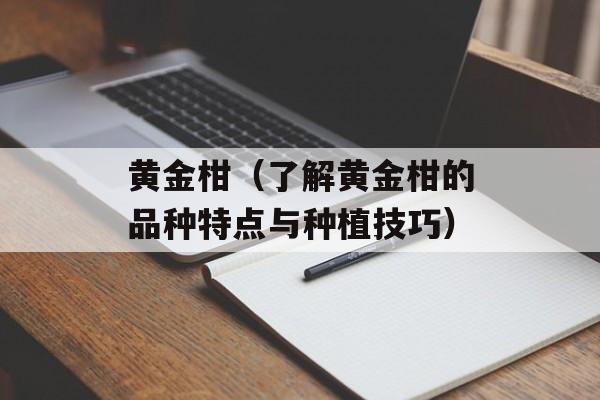 黄金柑（了解黄金柑的品种特点与种植技巧）-第1张图片-