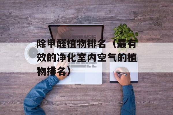除甲醛植物排名（最有效的净化室内空气的植物排名）-第1张图片-
