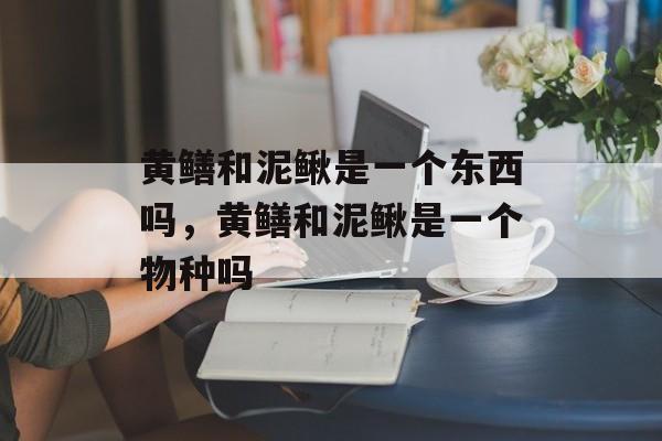 黄鳝和泥鳅是一个东西吗，黄鳝和泥鳅是一个物种吗-第1张图片-