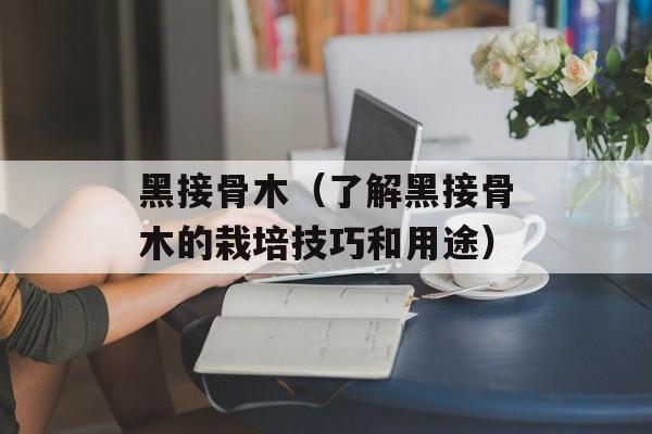 黑接骨木（了解黑接骨木的栽培技巧和用途）-第1张图片-
