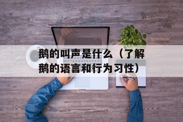 鹅的叫声是什么（了解鹅的语言和行为习性）-第1张图片-