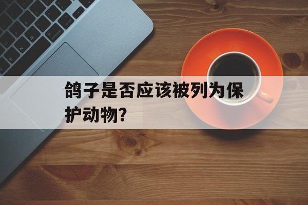 鸽子是否应该被列为保护动物？-第1张图片-