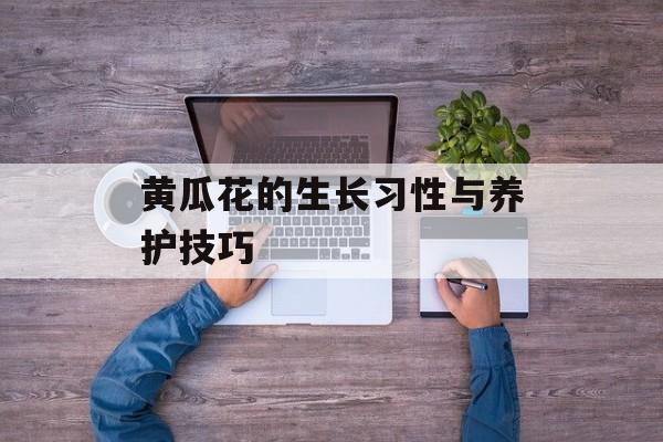黄瓜花的生长习性与养护技巧-第1张图片-