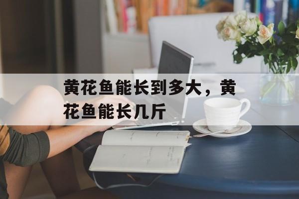 黄花鱼能长到多大，黄花鱼能长几斤-第1张图片-