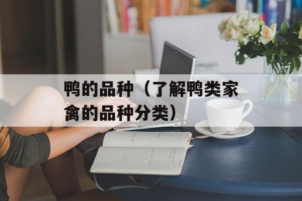 鸭的品种（了解鸭类家禽的品种分类）-第1张图片-