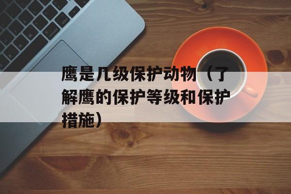 鹰是几级保护动物（了解鹰的保护等级和保护措施）-第1张图片-