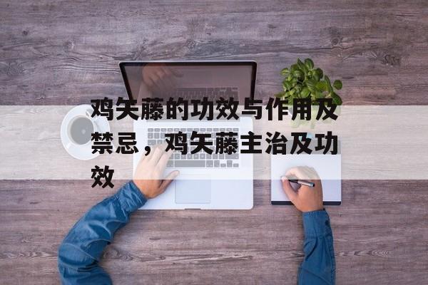 鸡矢藤的功效与作用及禁忌，鸡矢藤主治及功效-第1张图片-