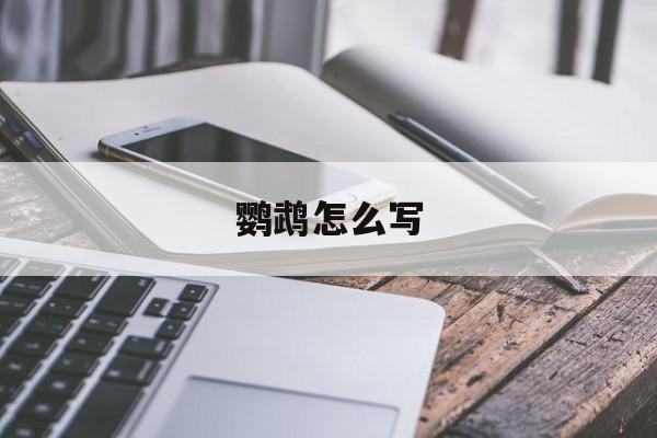 鹦鹉怎么写-第1张图片-