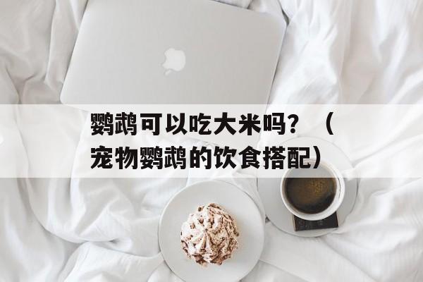 鹦鹉可以吃大米吗？（宠物鹦鹉的饮食搭配）-第1张图片-