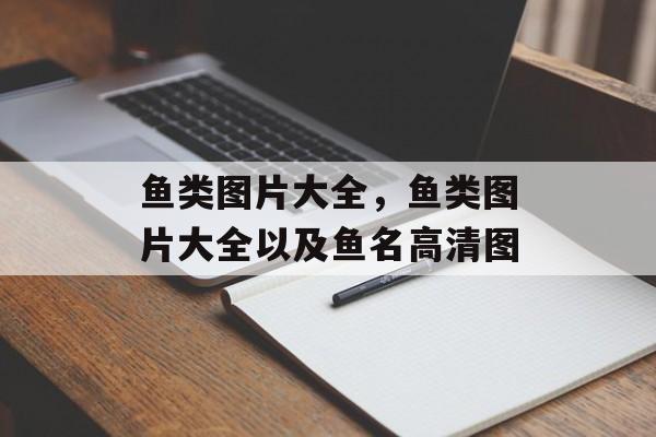 鱼类图片大全，鱼类图片大全以及鱼名高清图-第1张图片-