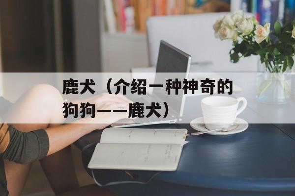 鹿犬（介绍一种神奇的狗狗——鹿犬）-第1张图片-