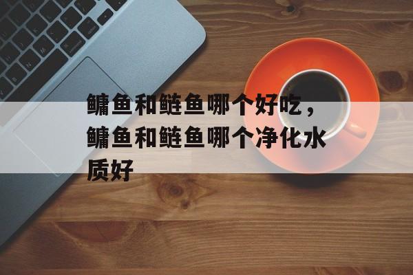 鳙鱼和鲢鱼哪个好吃，鳙鱼和鲢鱼哪个净化水质好-第1张图片-