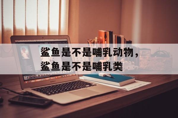 鲨鱼是不是哺乳动物，鲨鱼是不是哺乳类-第1张图片-
