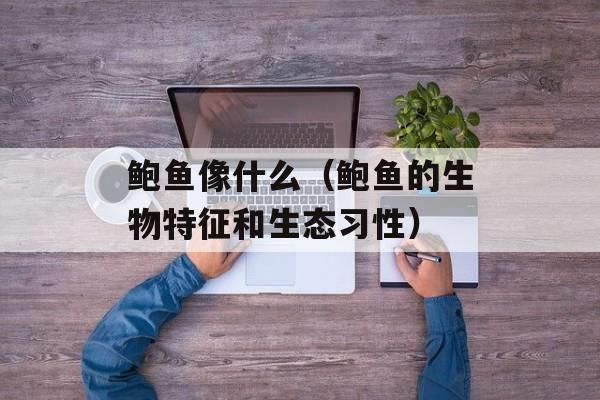 鲍鱼像什么（鲍鱼的生物特征和生态习性）-第1张图片-