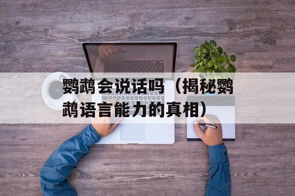 鹦鹉会说话吗（揭秘鹦鹉语言能力的真相）-第1张图片-