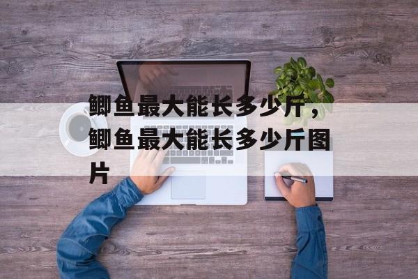 鲫鱼最大能长多少斤，鲫鱼最大能长多少斤图片-第1张图片-