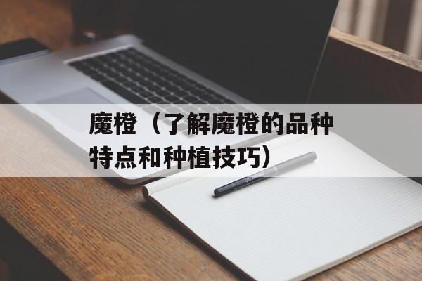 魔橙（了解魔橙的品种特点和种植技巧）-第1张图片-